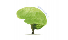 Dominika Kiblicka-Kędzior Neurolog