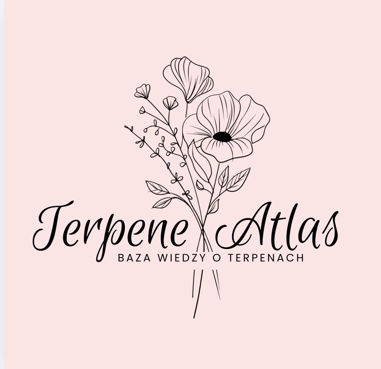 Zmiana godzin pracy, Terpene Atlas