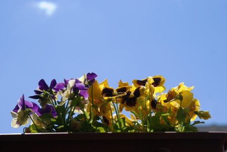 miłość i zakochanie