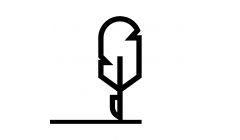 Indywidualna Praktyka Lekarska Anna Kołodziejska 