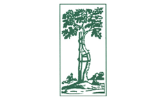 Specjalistyczny Gabinet Ortopedyczny dr n. med. Andrzej Atras